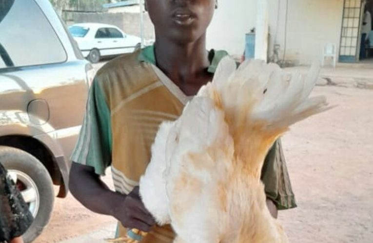 BIZARRE: Boy Arrested For Rapping Cocks