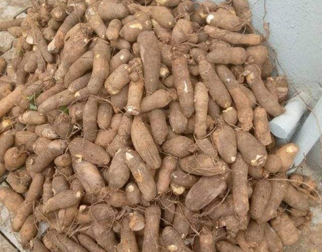 Nigerians May Soon Start Importing Yam From China, Perm Sec Laments