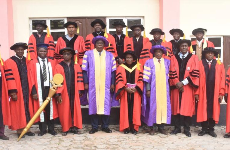Strategies To Combat Rural Poverty Unveiled At AAUA Inaugural Lecture By Prof. Fasoranti