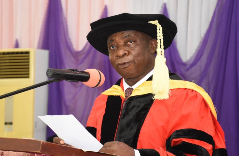 Local Solutions Key To Nigeria’s Economic Growth,Says AAUA Professor At Inaugural Lecture