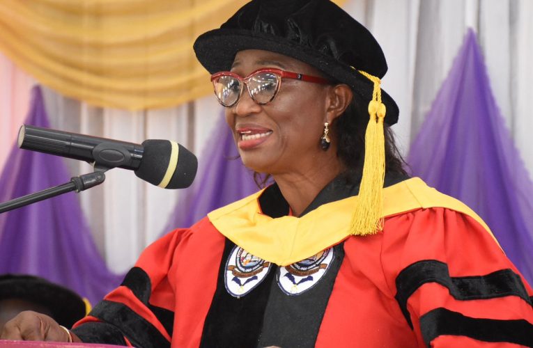 EDUCATION: Prof. Akinfolarin Highlights Efficient Resource Management As Crucial For Quality Education At AAUA Inaugural Lecture