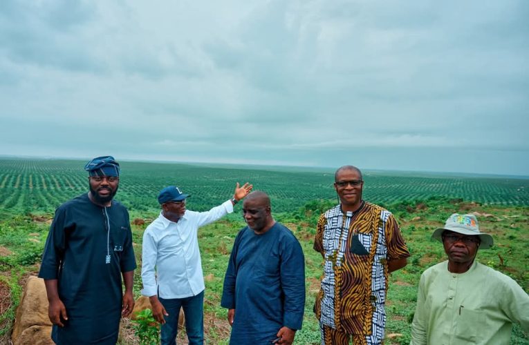 Gov. Aiyedatiwa Tours JB, Sao Farms in Ore, Ajue Community, Commends Private Sector Contributions to Agriculture”