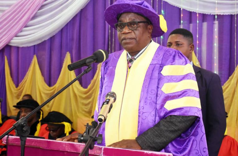 Don Stresses Value of Herbal Medicine, Seeks Crackdown on Food Adulteration