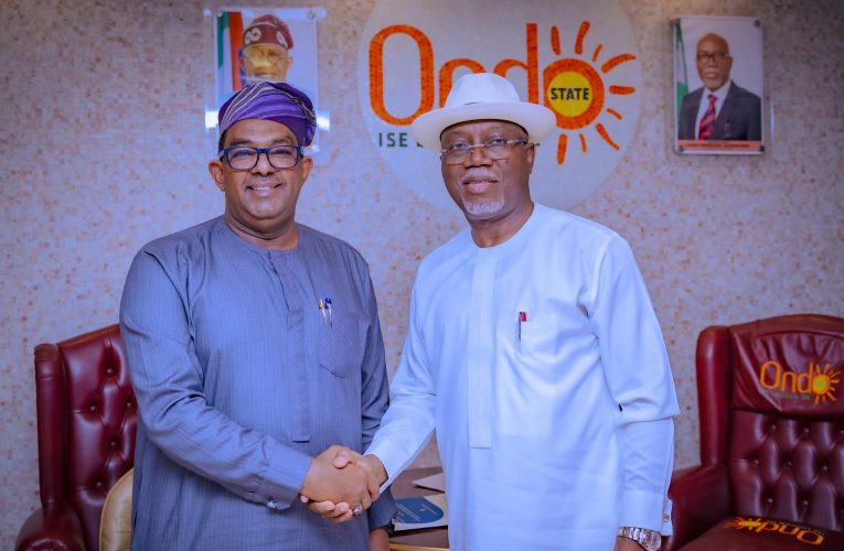 Gov Aiyedatiwa, FAO Pledge Stronger Action on Food Security, Land Use Reforms